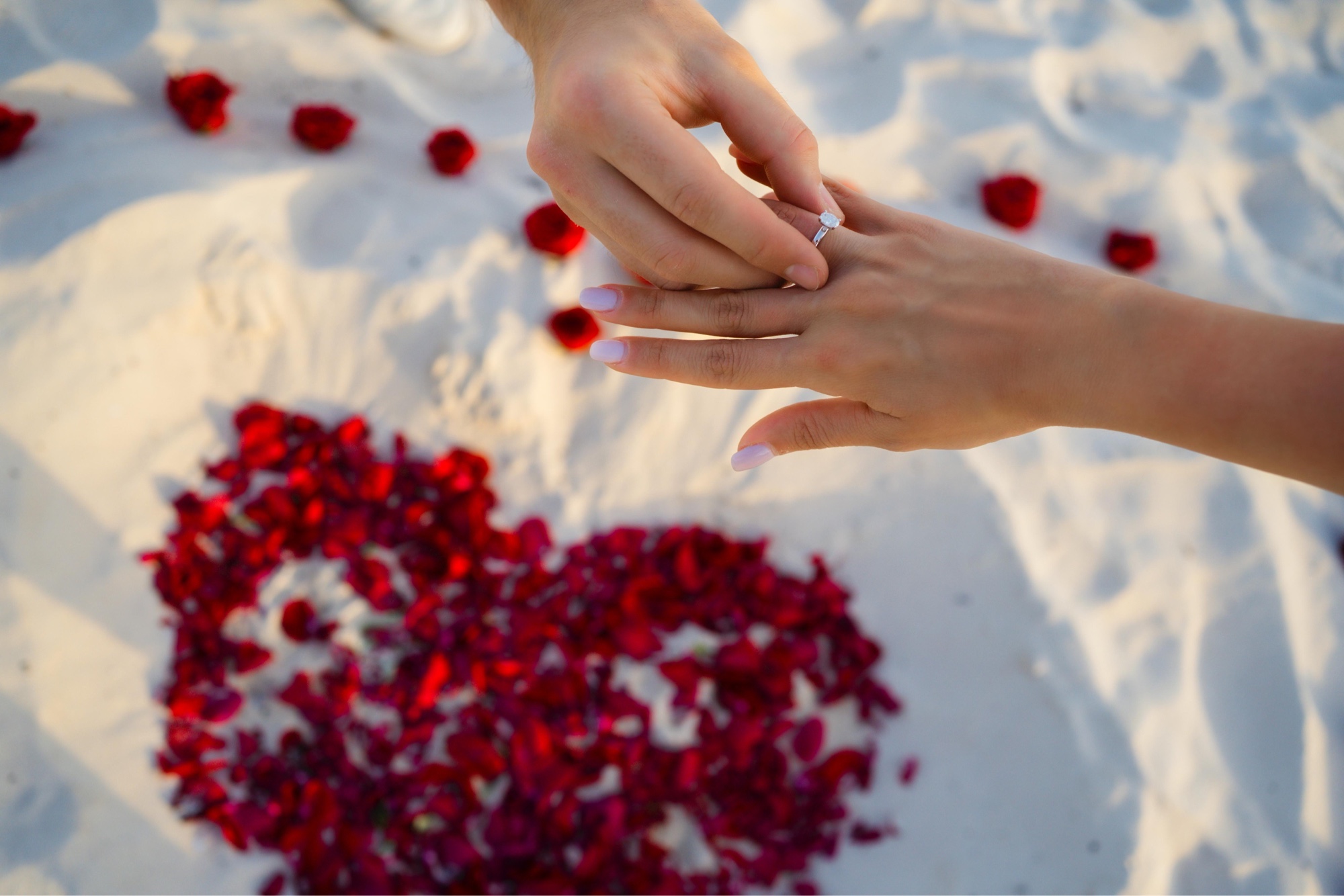 Beach proposal with rose petals, Playa del Carmen